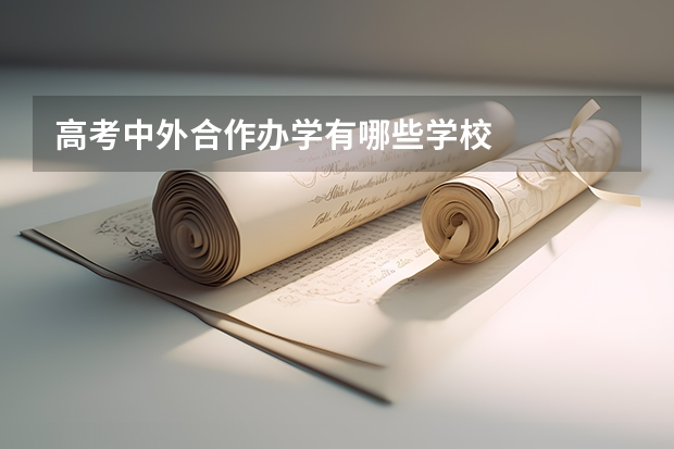 高考中外合作办学有哪些学校