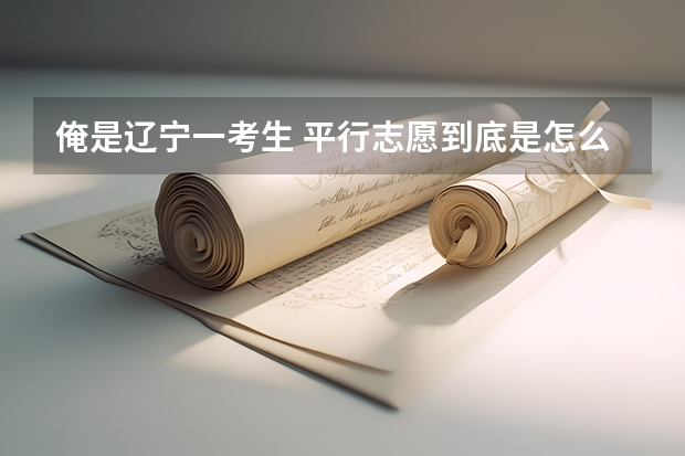 俺是辽宁一考生 平行志愿到底是怎么回事啊??