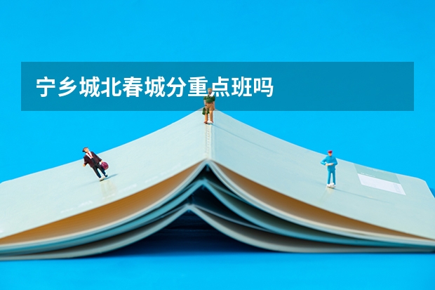 宁乡城北春城分重点班吗