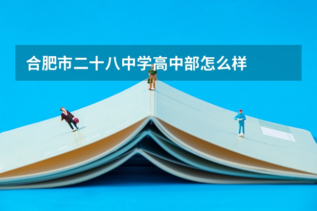 合肥市二十八中学高中部怎么样