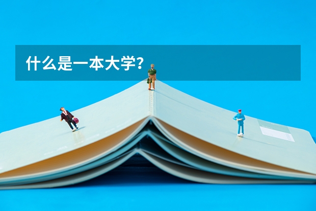 什么是一本大学?