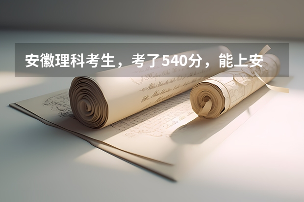 安徽理科考生，考了540分，能上安徽哪些二本大学？要环境好一点的啊！