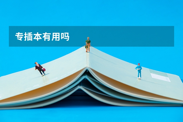 专插本有用吗