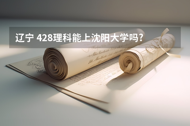 辽宁 428理科能上沈阳大学吗?