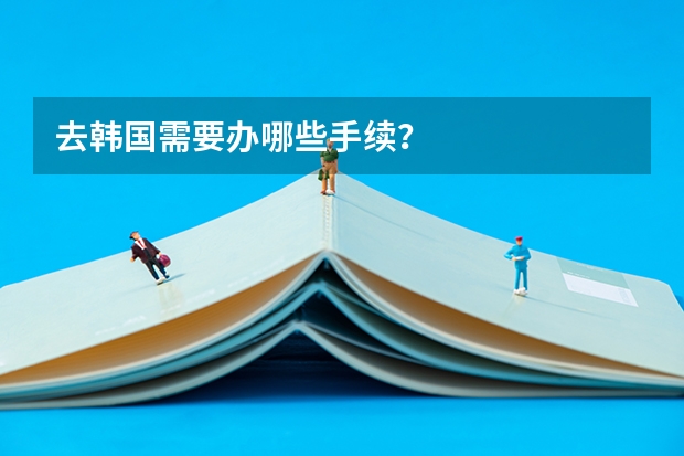 去韩国需要办哪些手续？