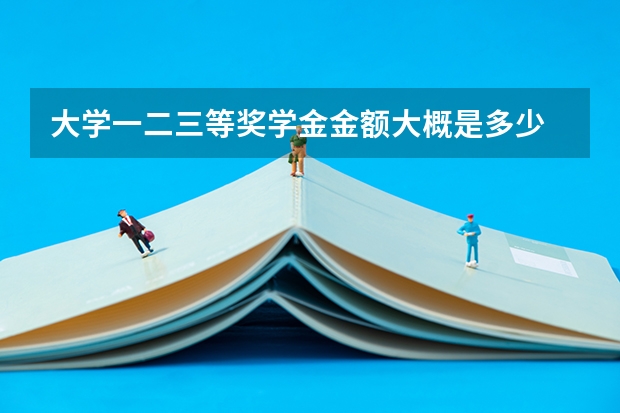 大学一二三等奖学金金额大概是多少