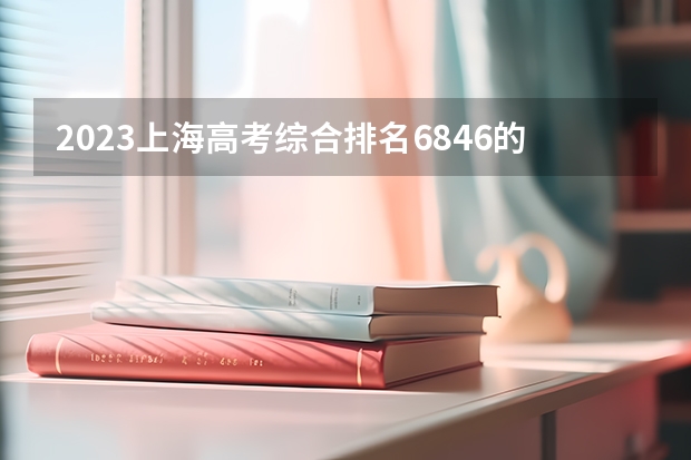 2023上海高考综合排名6846的考生报什么大学合适