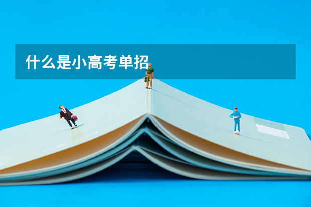 什么是小高考单招