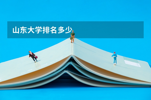 山东大学排名多少