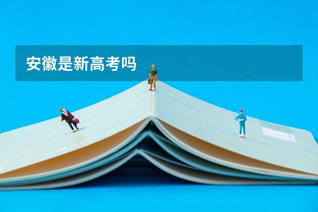 安徽是新高考吗