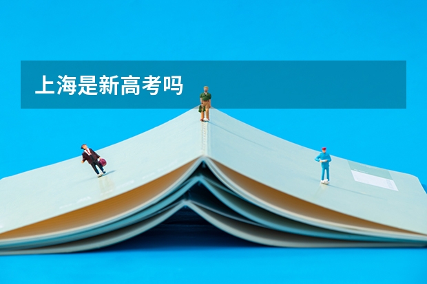 上海是新高考吗
